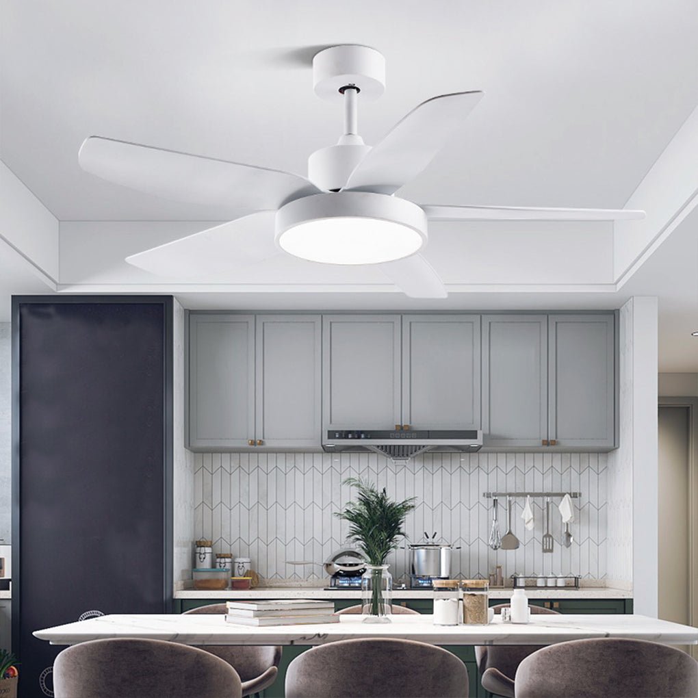 Galene Modern Downrod Ceiling Fan Light