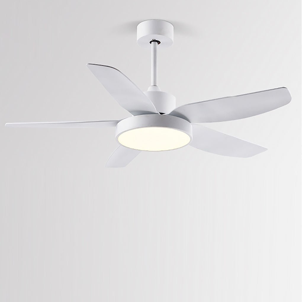 Galene Modern Downrod Ceiling Fan Light