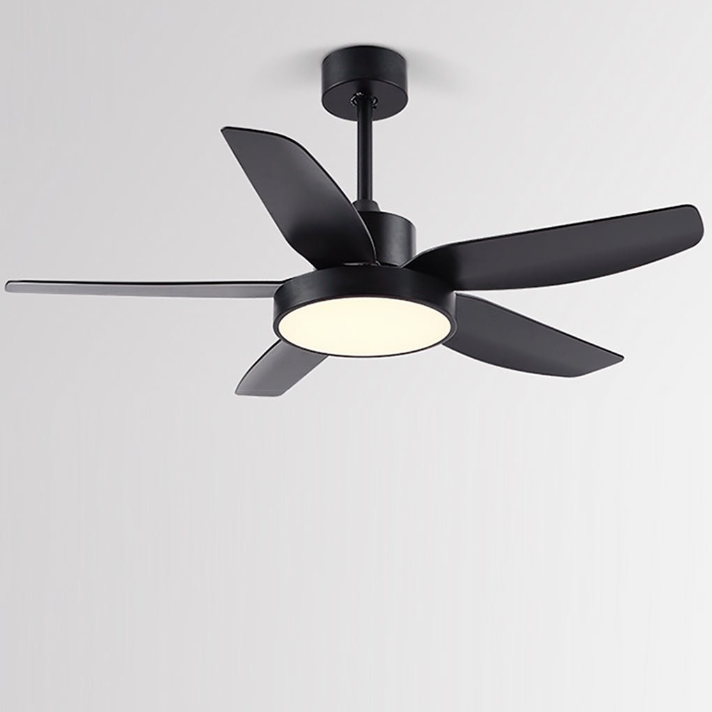 Galene Modern Downrod Ceiling Fan Light