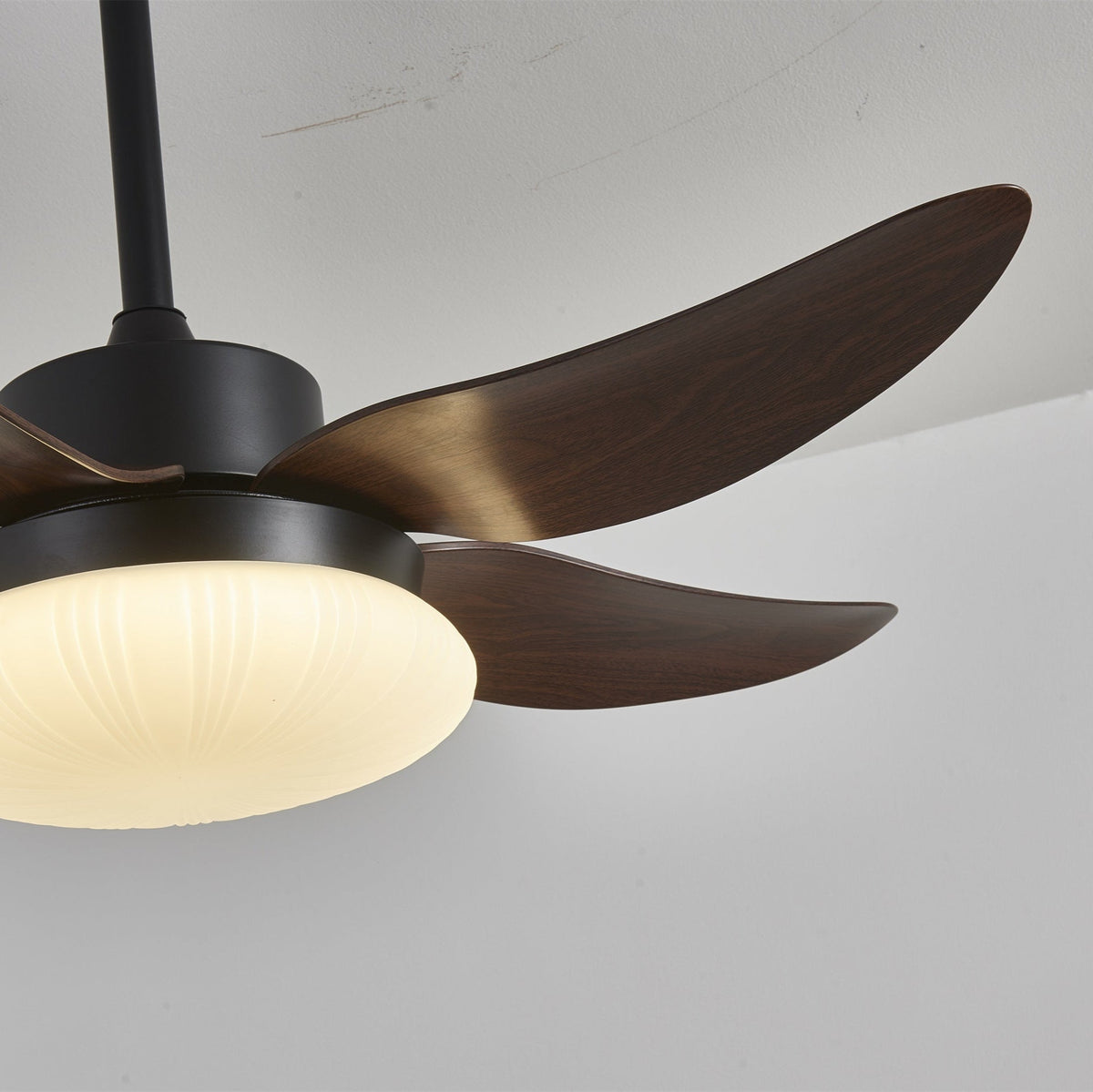 Belline Walnut Palm Blade LED Ceiling Fan Light