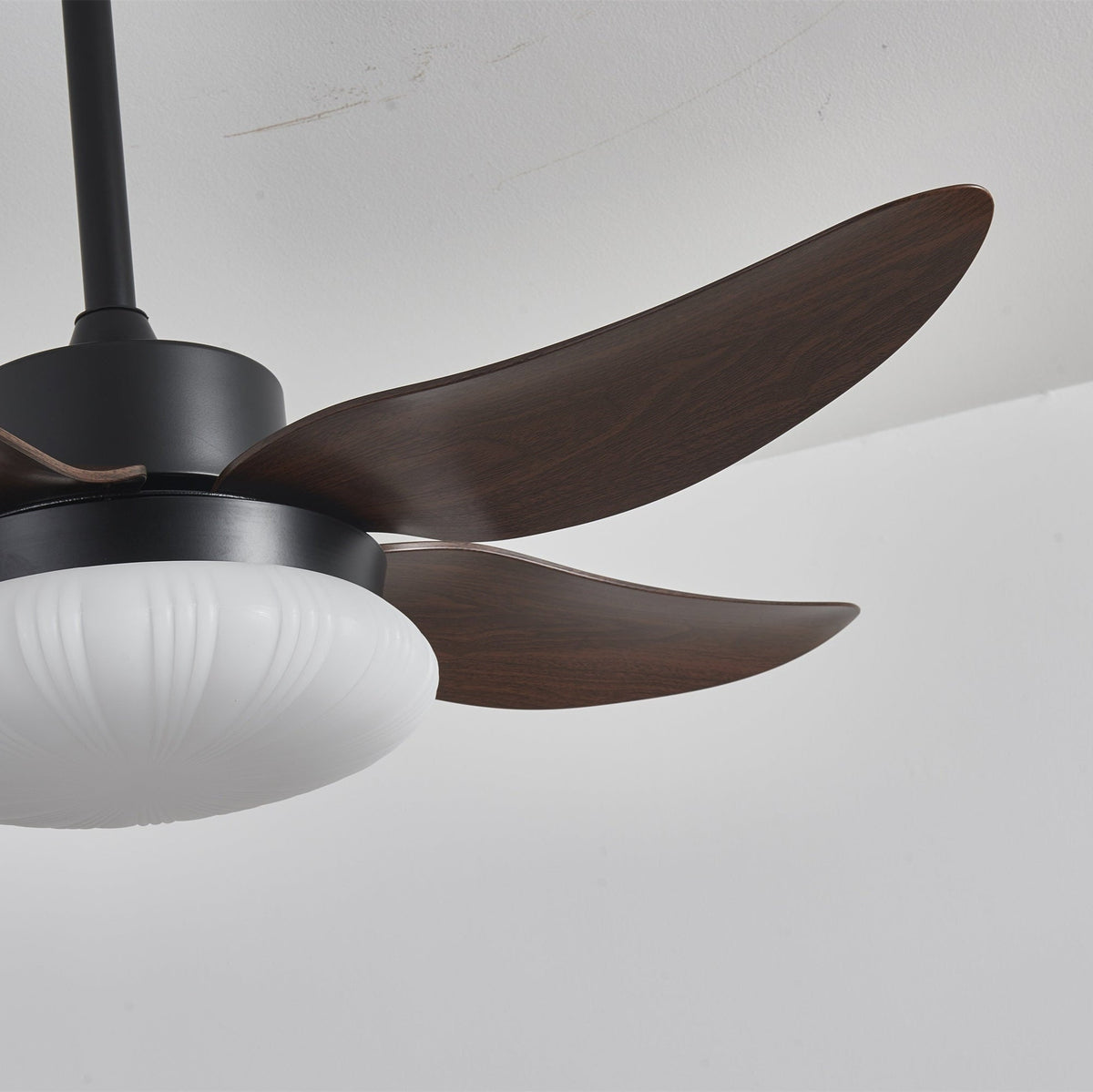 Belline Walnut Palm Blade LED Ceiling Fan Light