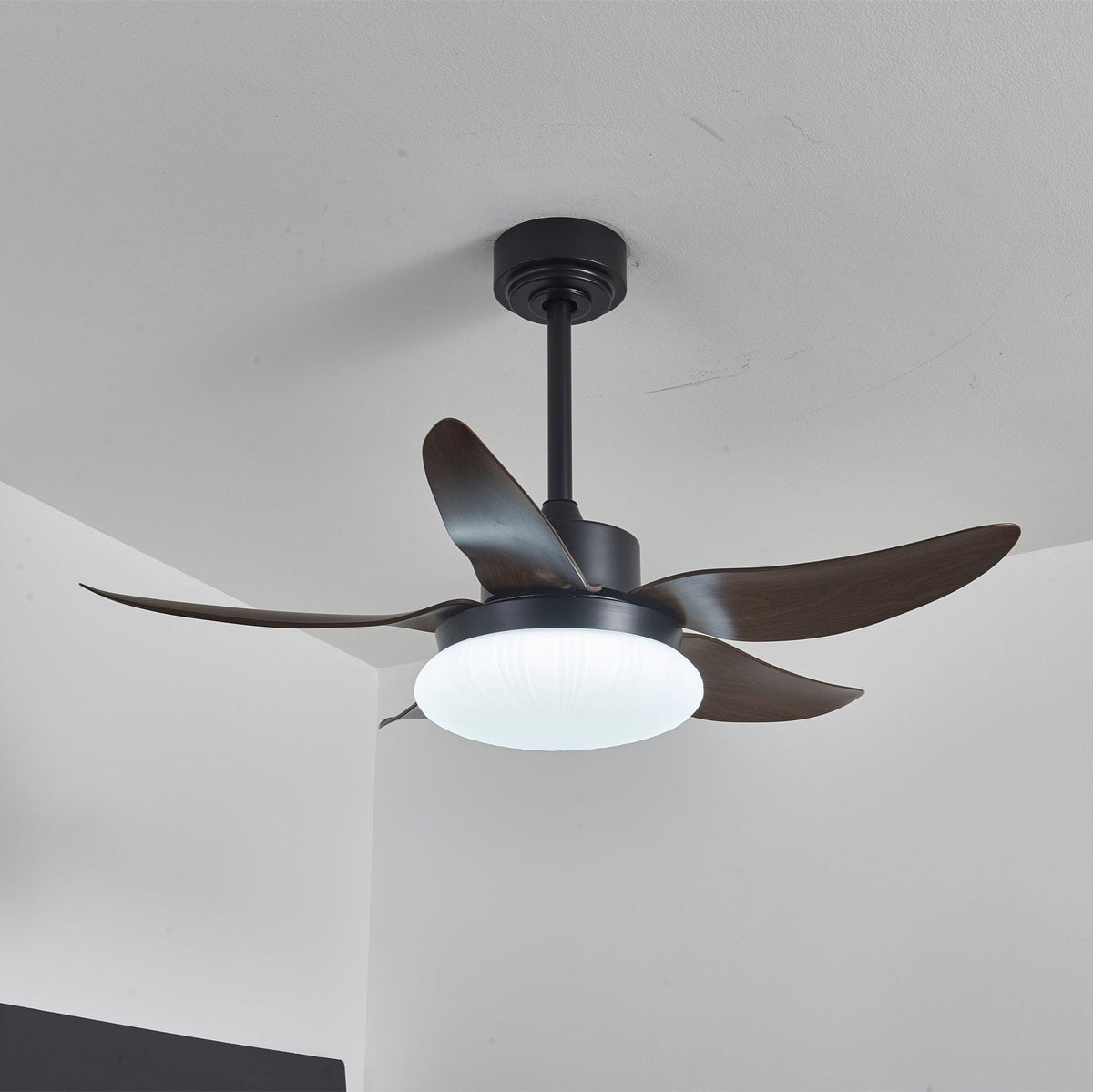 Belline Walnut Palm Blade LED Ceiling Fan Light