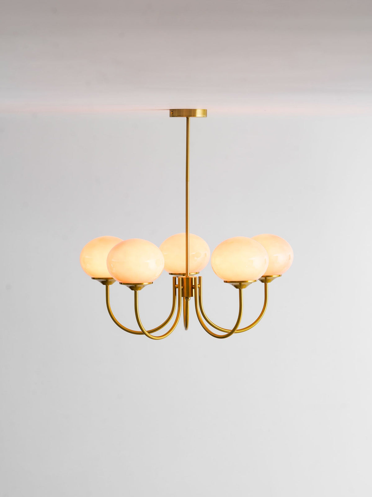 Mallow Glass Shade Chandelier
