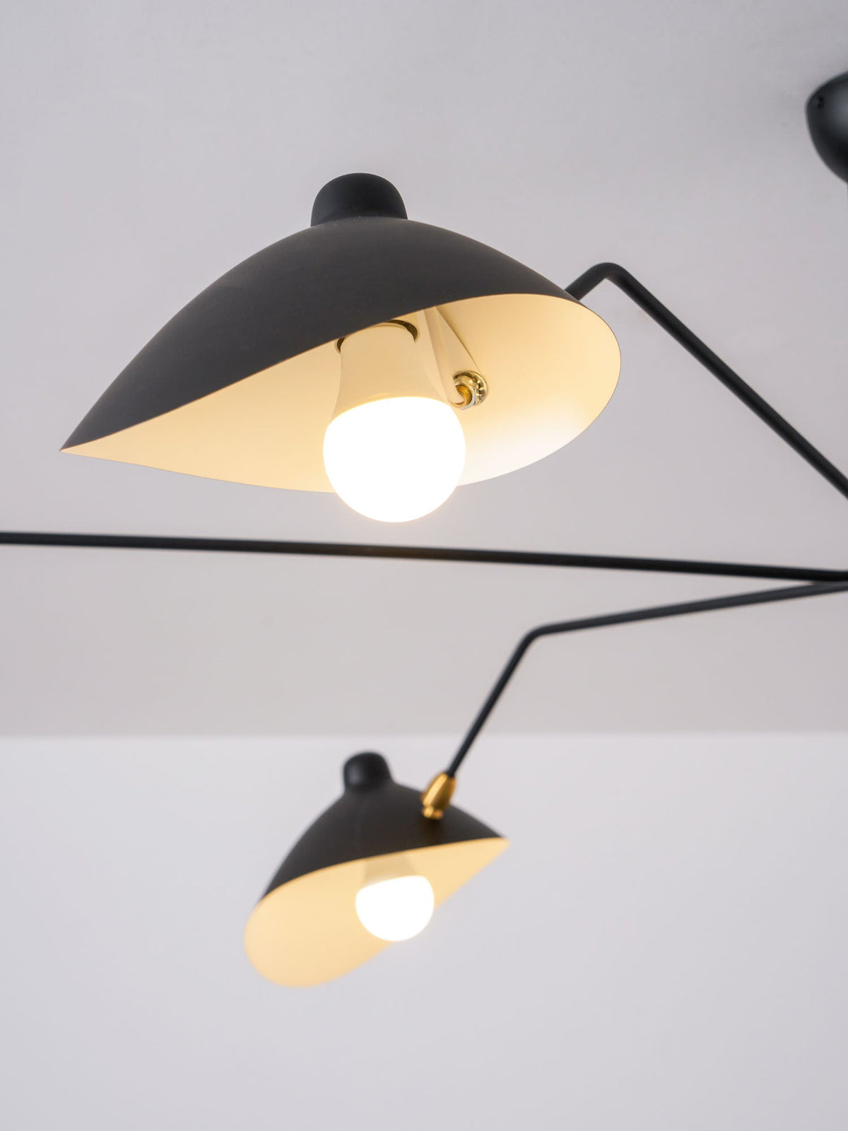 Trio Multi Arm Spider Ceiling Light