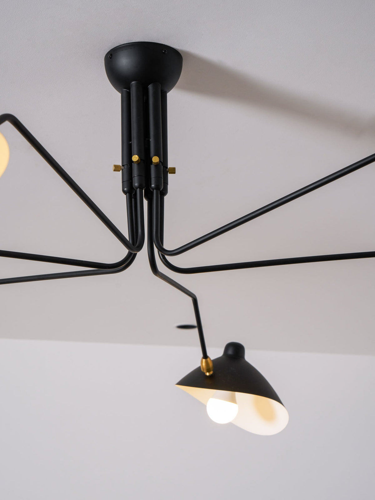 Trio Multi Arm Spider Ceiling Light