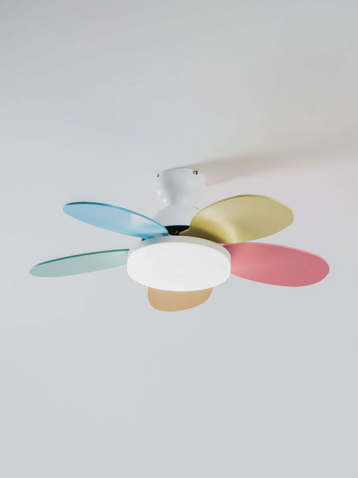 Petalo Petal Blade Ceiling Fan Light