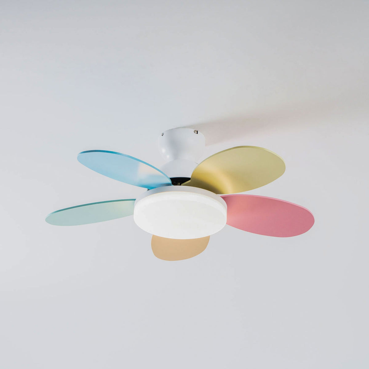 Petalo Petal Blade Ceiling Fan Light