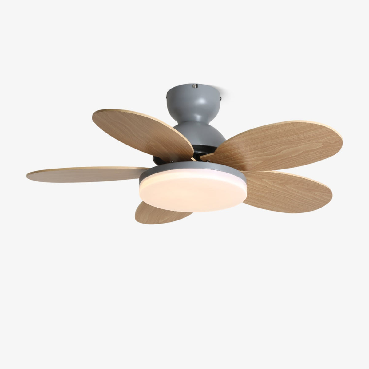 Petalo Petal Blade Ceiling Fan Light