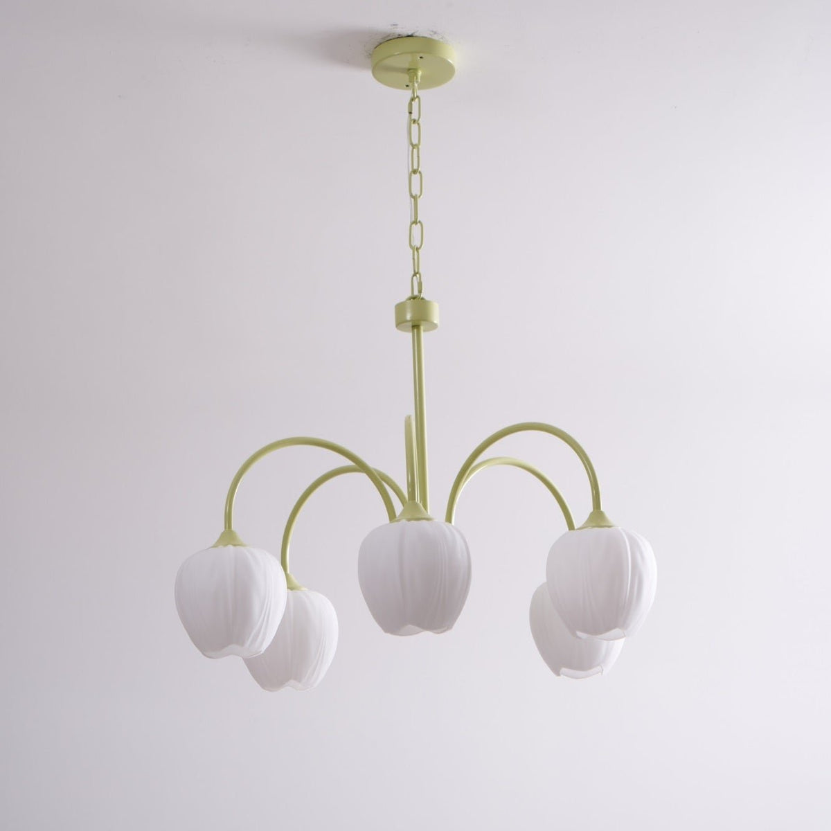 Tulipa Tulip Glass Multi Head Chandelier Ceiling Light