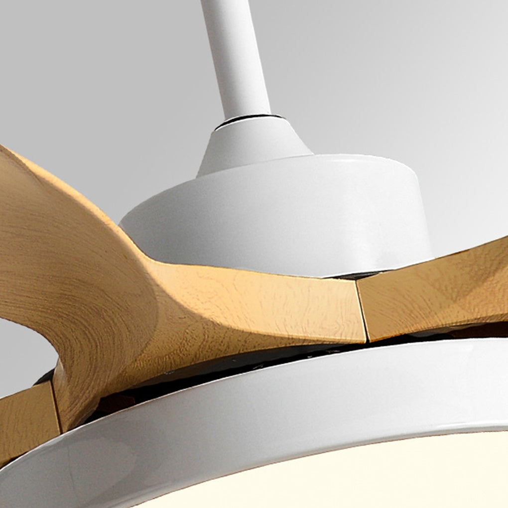 Verane Nordic Silent Inverter Ceiling Fan Light