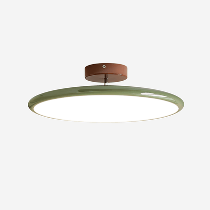 Solace Adjustable Swing Arm Ceiling Light