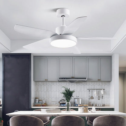 Galene Modern Downrod Ceiling Fan Light