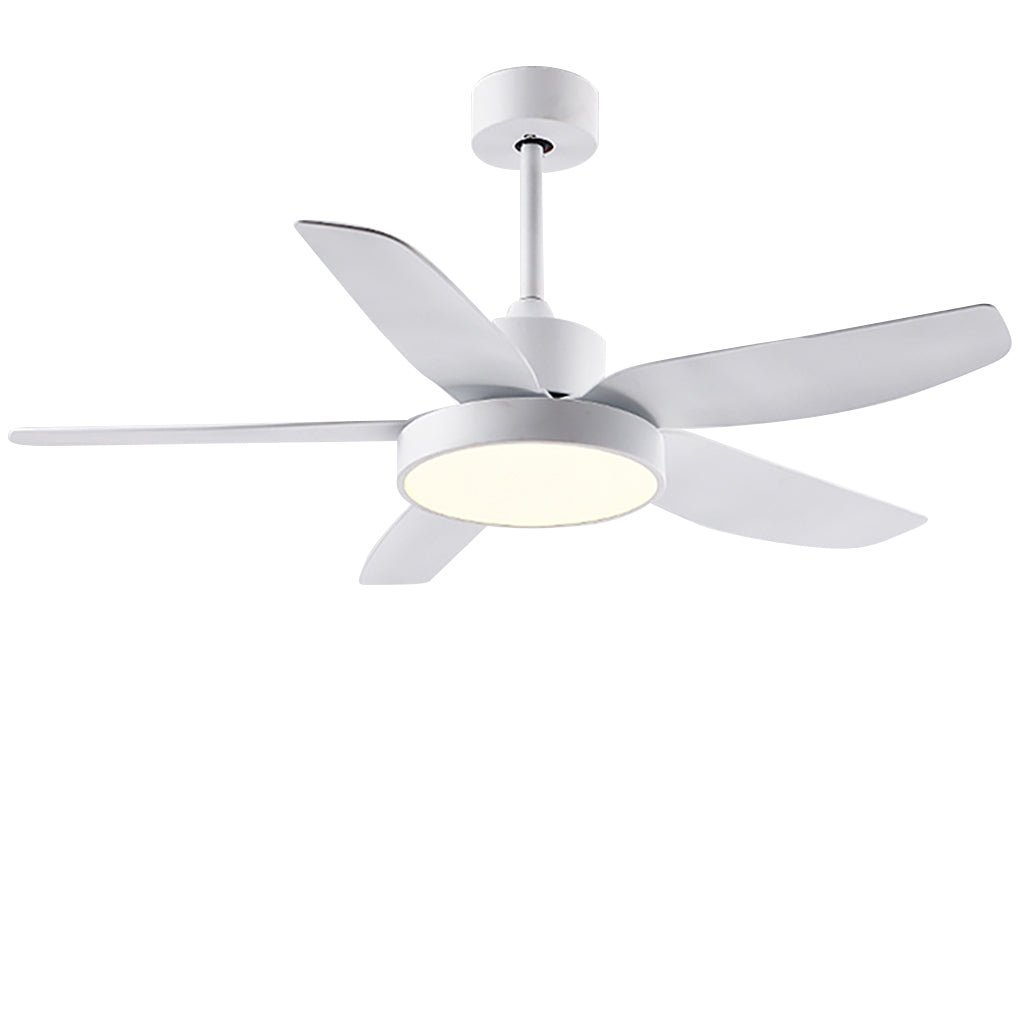 Galene Modern Downrod Ceiling Fan Light