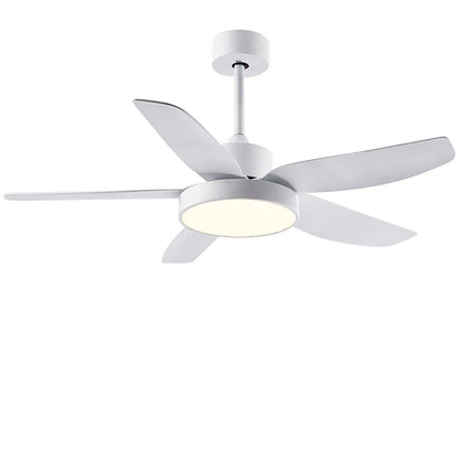 Galene Modern Downrod Ceiling Fan Light