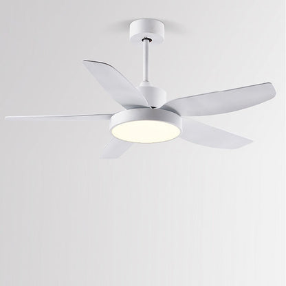Galene Modern Downrod Ceiling Fan Light