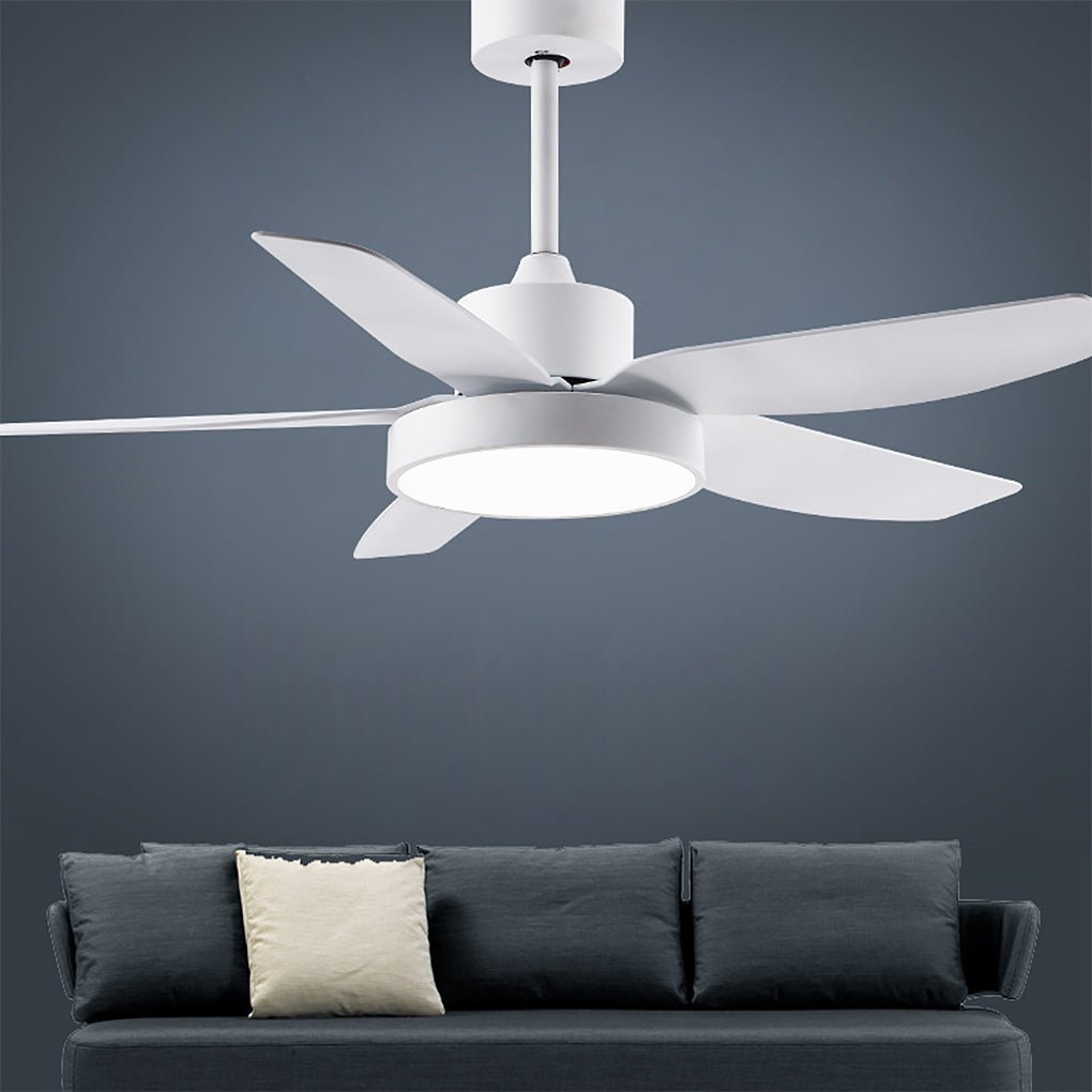 Galene Modern Downrod Ceiling Fan Light