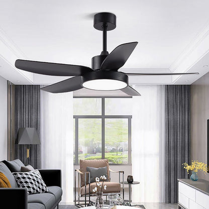 Galene Modern Downrod Ceiling Fan Light