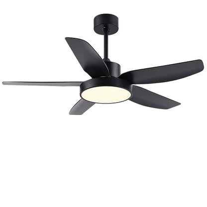 Galene Modern Downrod Ceiling Fan Light