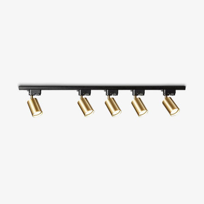 Rennick Adjustable LED Track Spotlight Ceiling Light