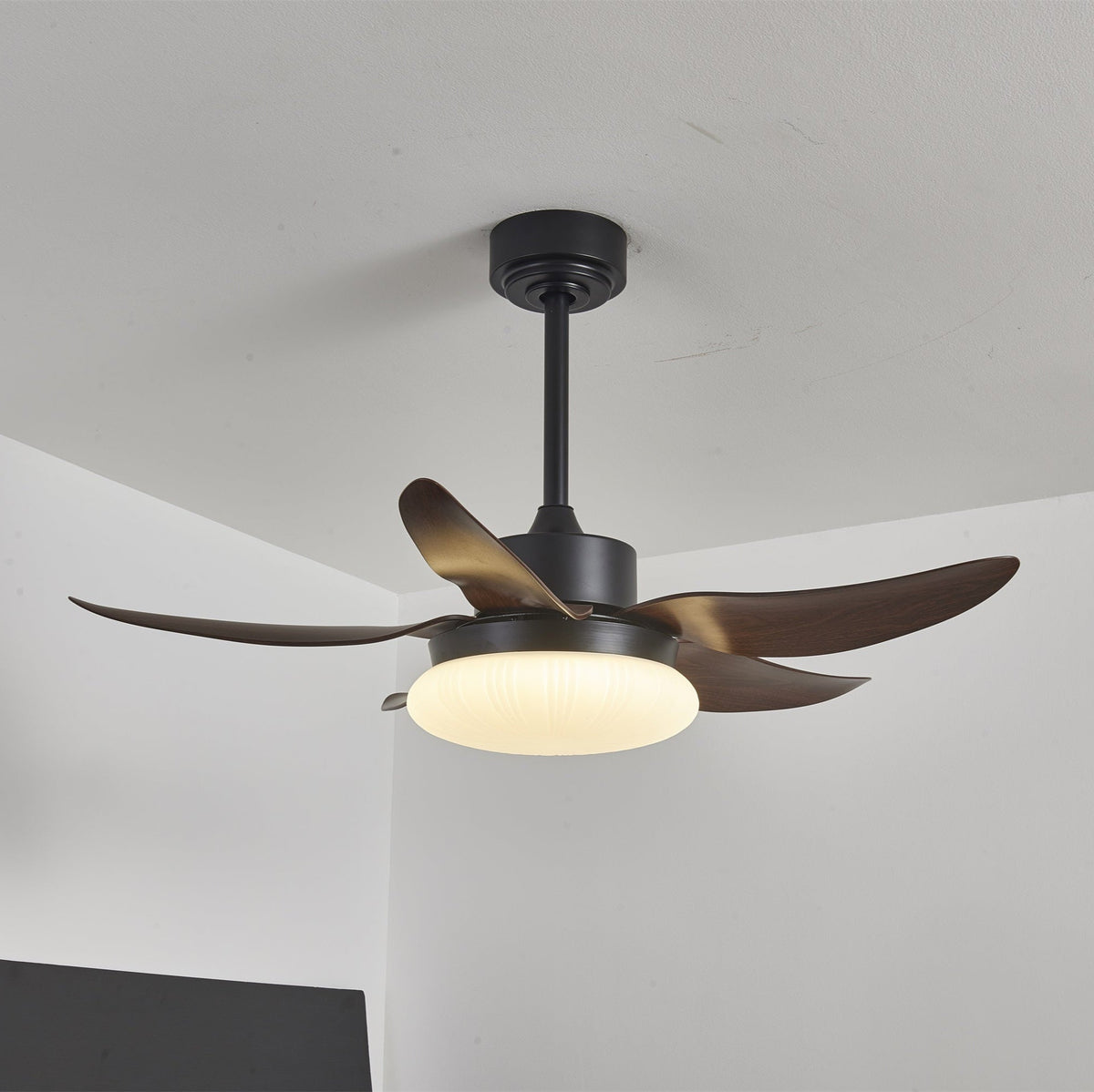 Belline Walnut Palm Blade LED Ceiling Fan Light