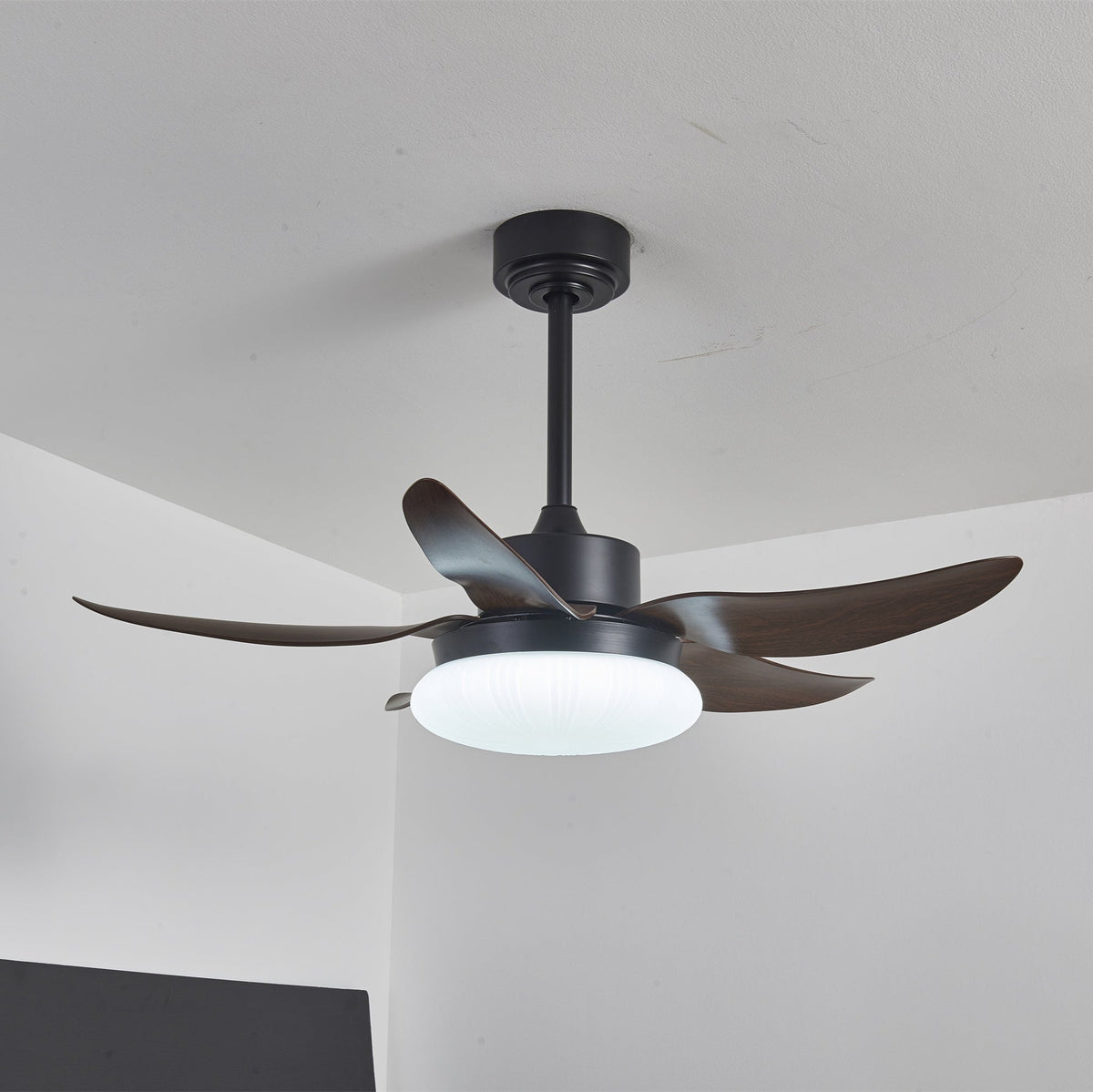 Belline Walnut Palm Blade LED Ceiling Fan Light