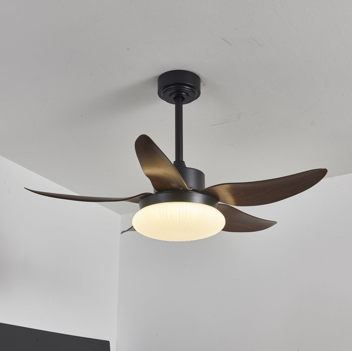 Belline Walnut Palm Blade LED Ceiling Fan Light