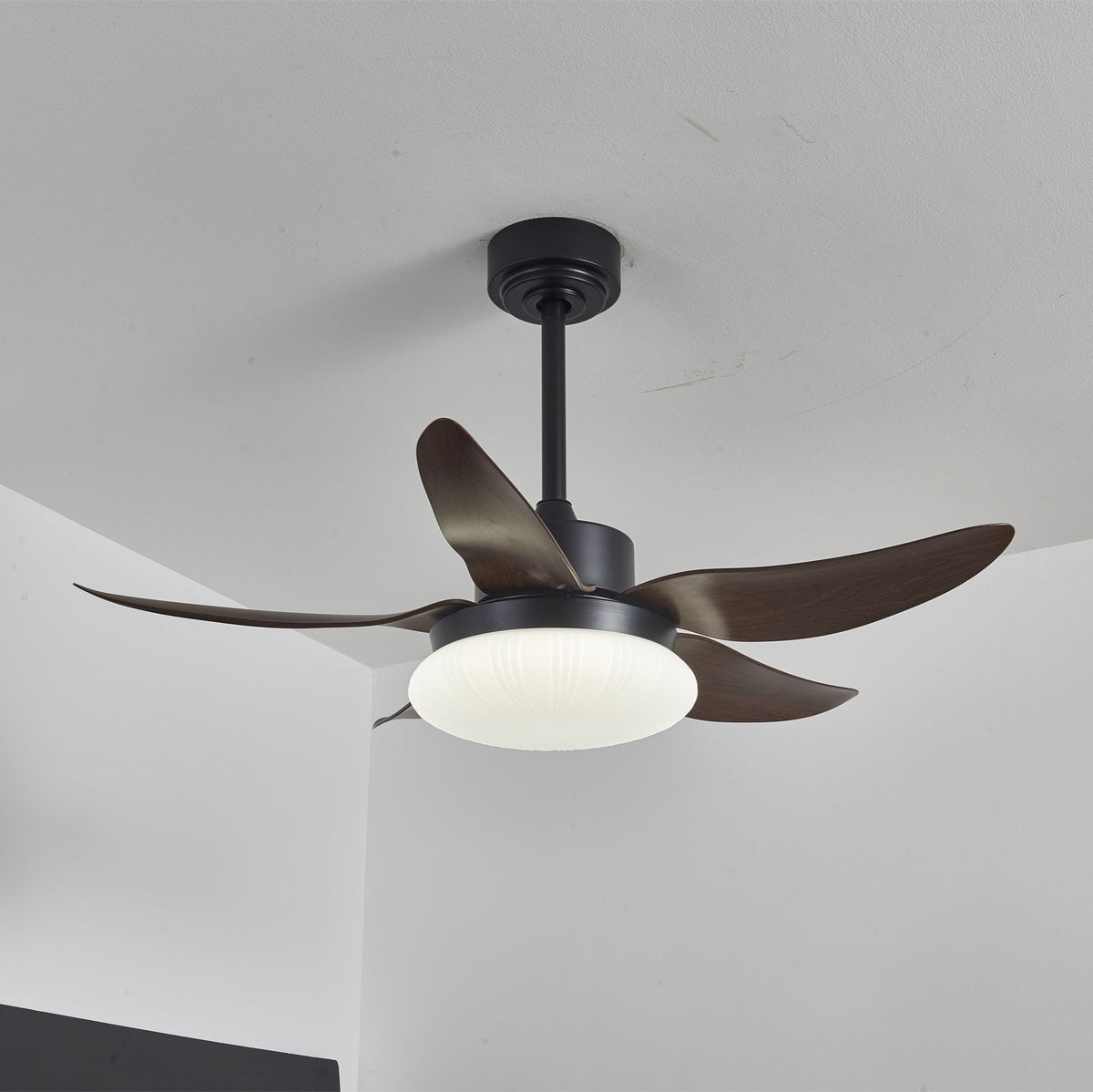 Belline Walnut Palm Blade LED Ceiling Fan Light