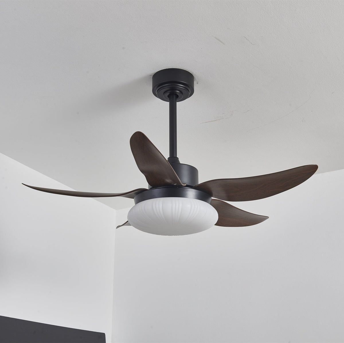 Belline Walnut Palm Blade LED Ceiling Fan Light