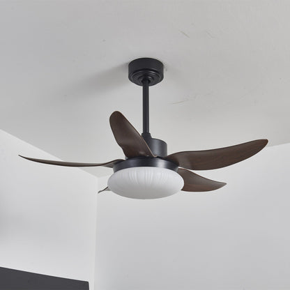 Belline Walnut Palm Blade LED Ceiling Fan Light