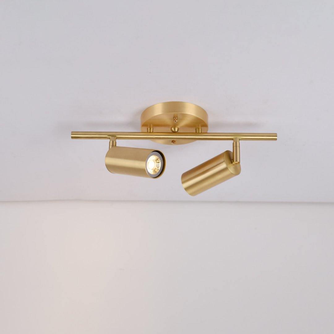 Ziva Adjustable Spotlight Wall Light