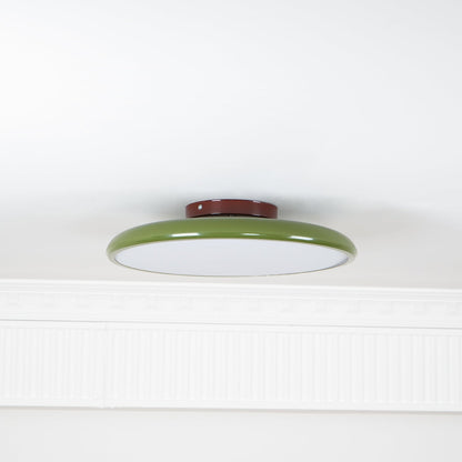 Solace Adjustable Swing Arm Ceiling Light