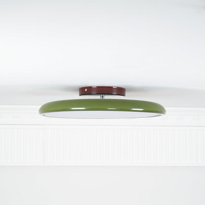 Solace Adjustable Swing Arm Ceiling Light