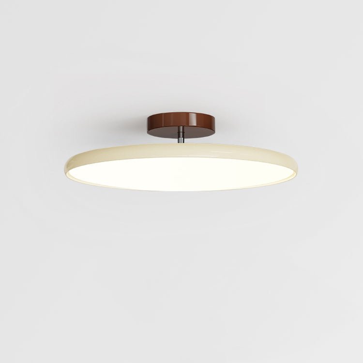 Solace Adjustable Swing Arm Ceiling Light