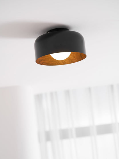 Lumosphere Glass Globe Ceiling Light