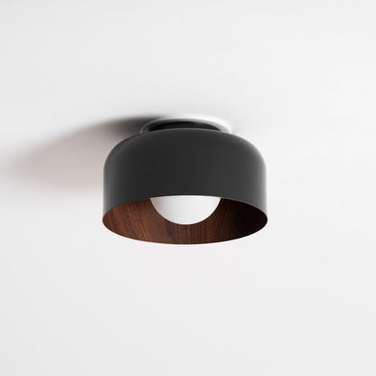 Lumosphere Glass Globe Ceiling Light