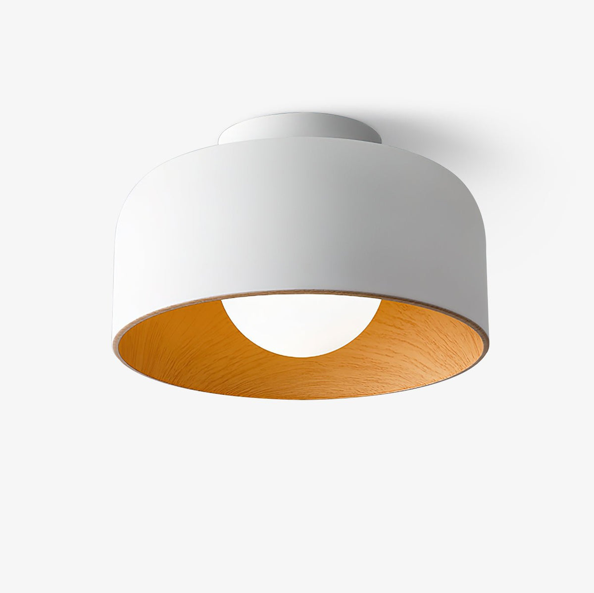 Lumosphere Glass Globe Ceiling Light