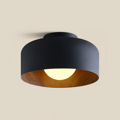 Lumosphere Glass Globe Ceiling Light