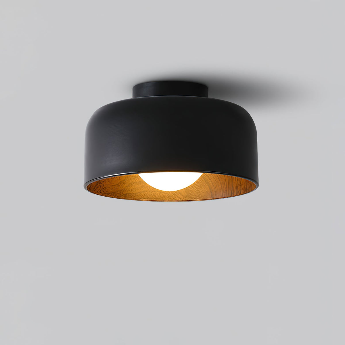 Lumosphere Glass Globe Ceiling Light