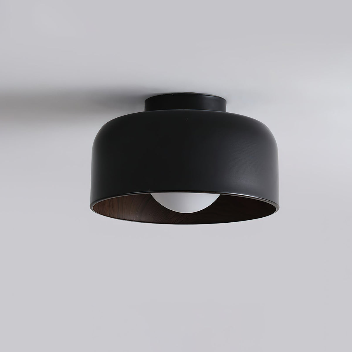 Lumosphere Glass Globe Ceiling Light