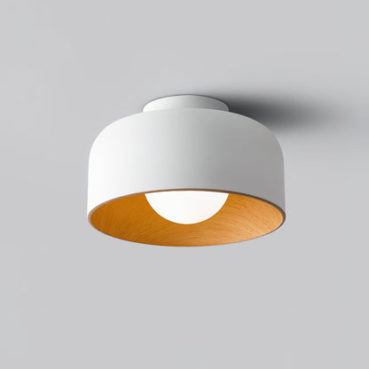 Lumosphere Glass Globe Ceiling Light