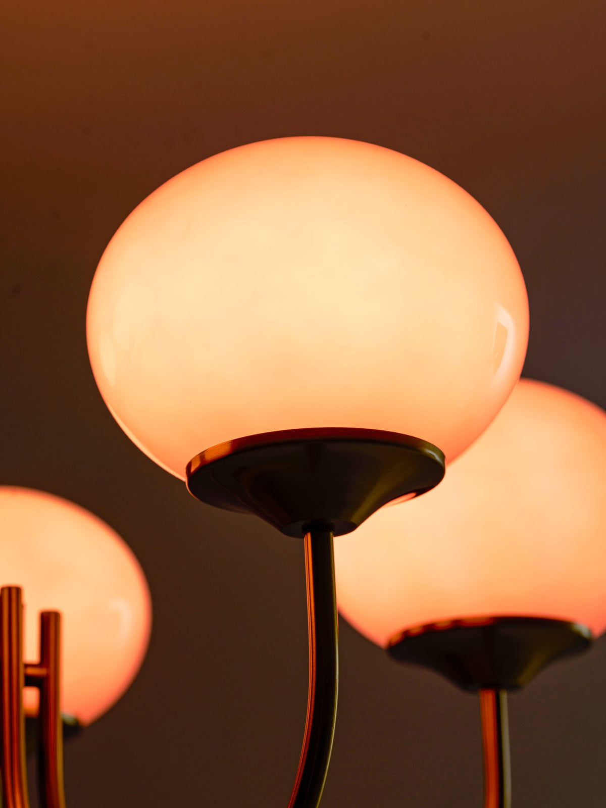 Mallow Glass Shade Chandelier