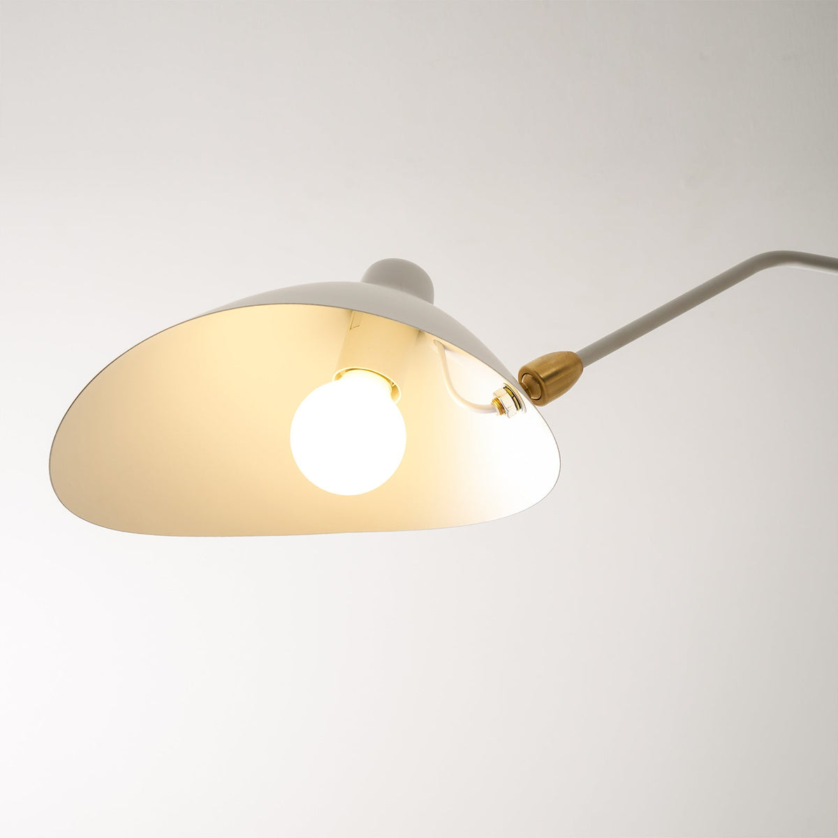 Trio Multi Arm Spider Ceiling Light