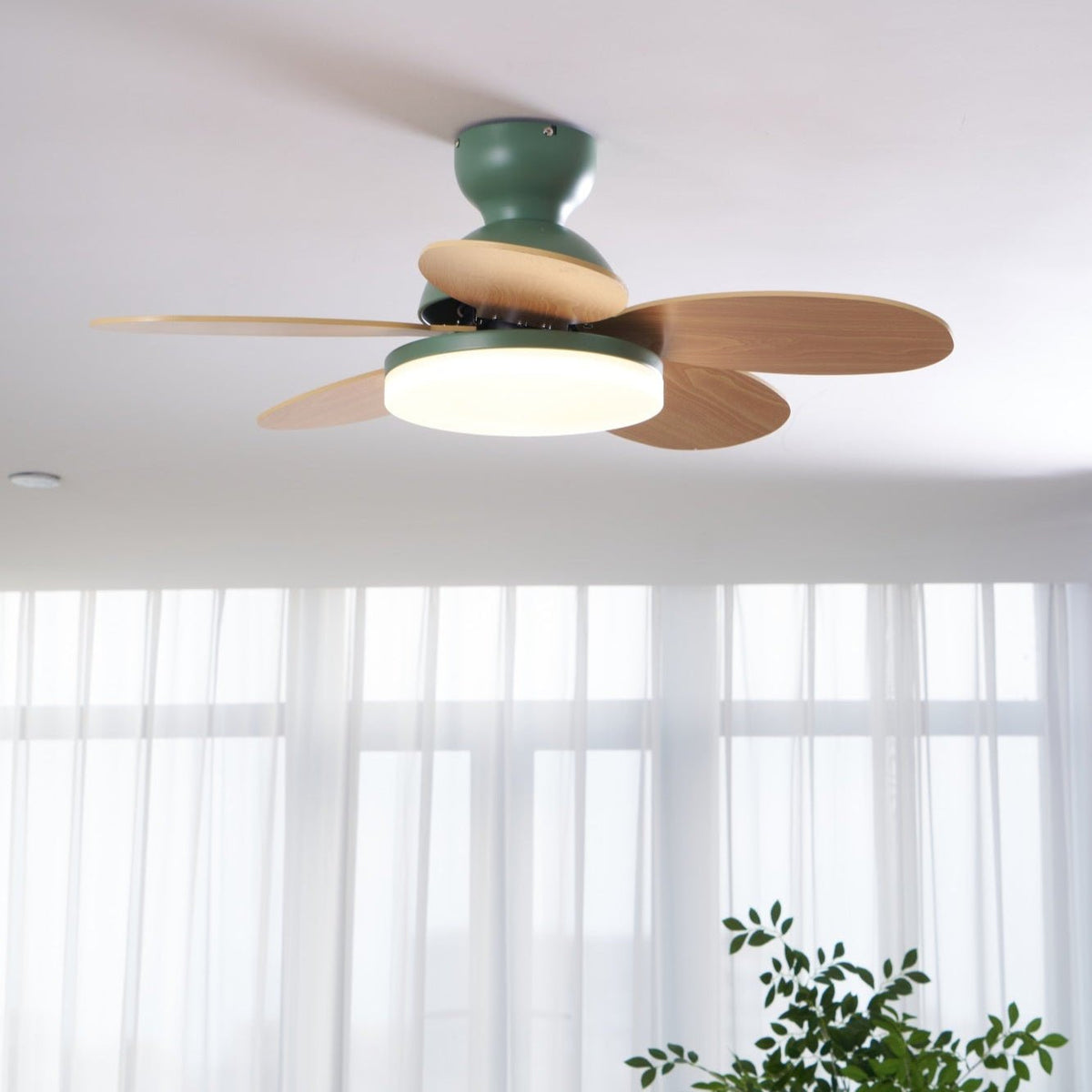 Petalo Petal Blade Ceiling Fan Light