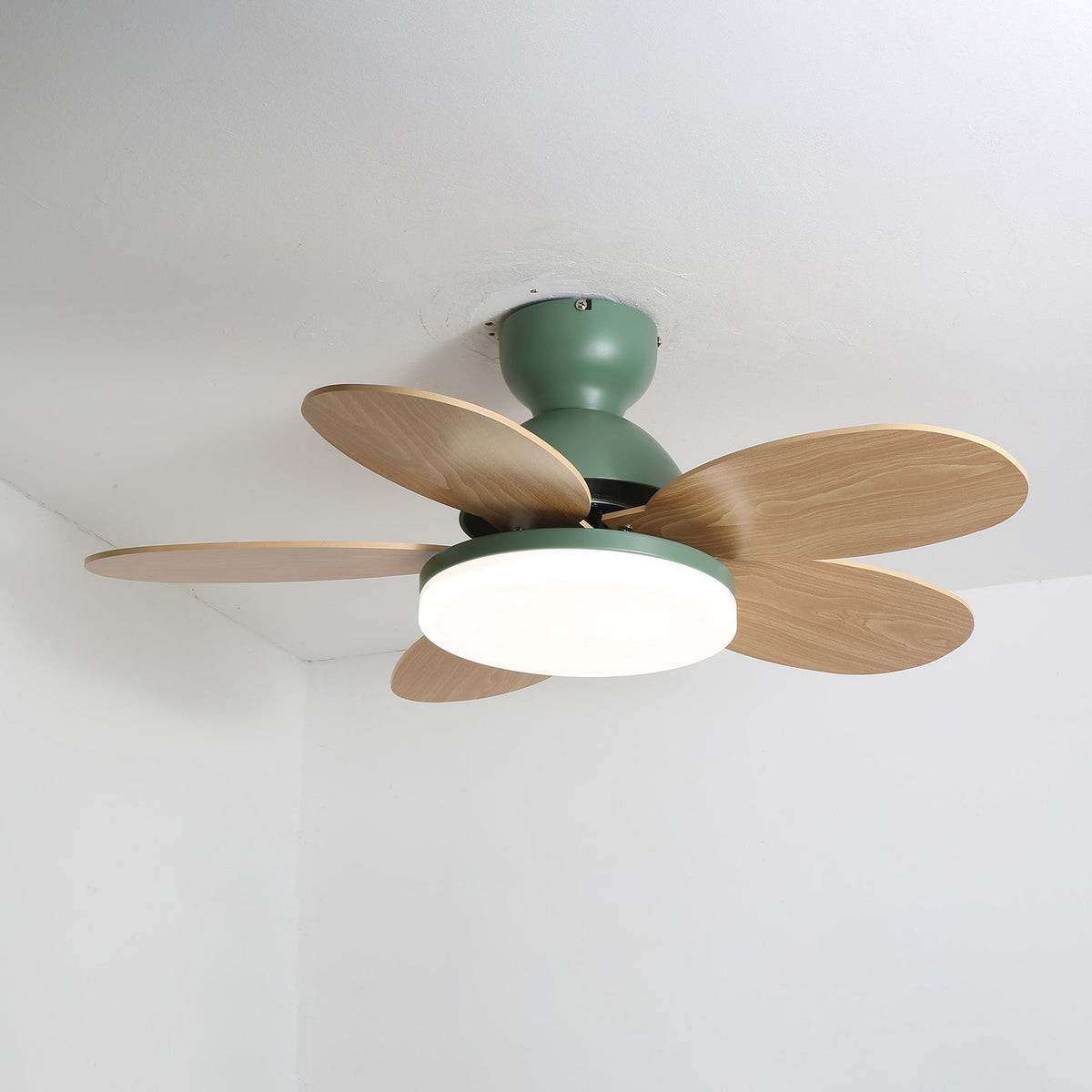 Petalo Petal Blade Ceiling Fan Light