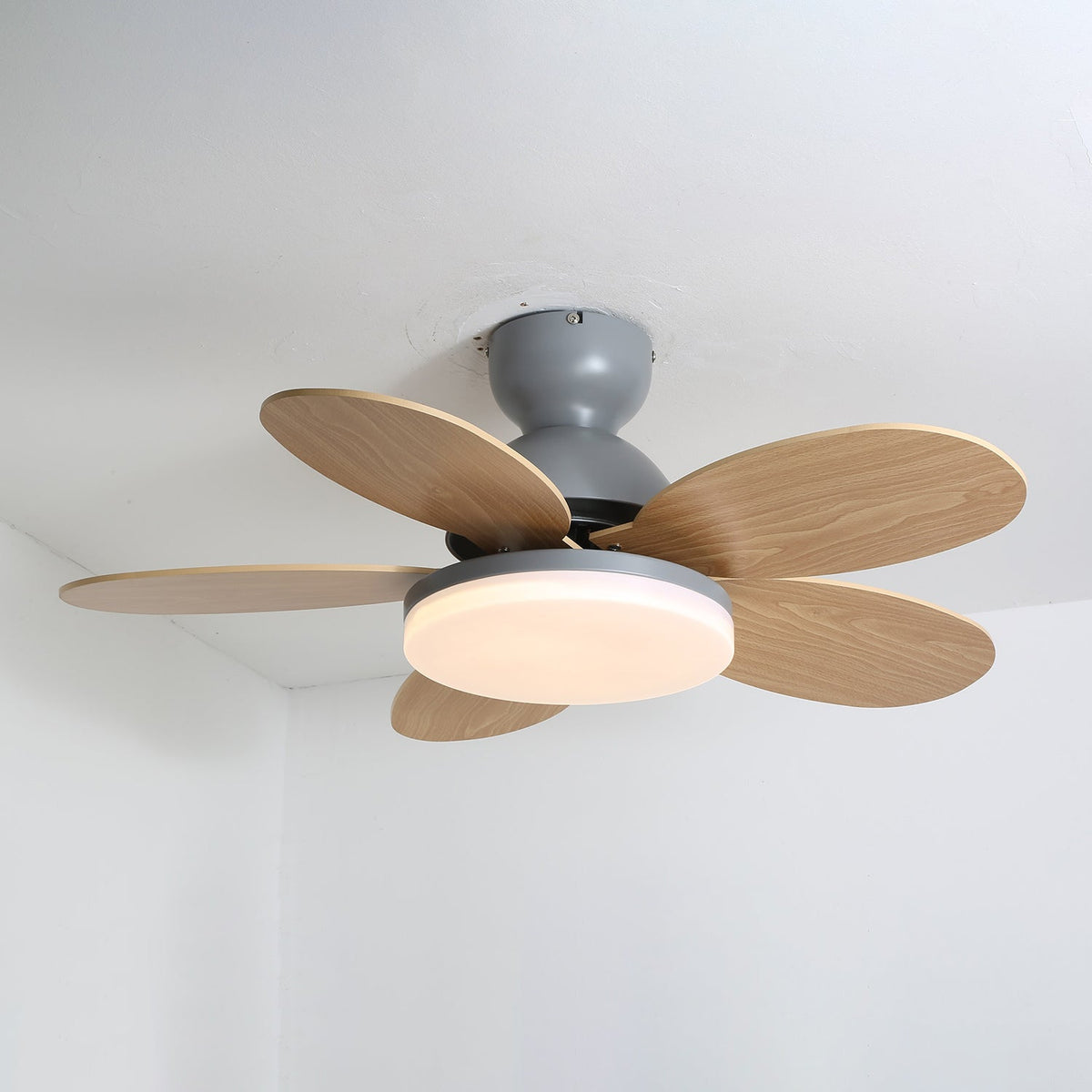 Petalo Petal Blade Ceiling Fan Light