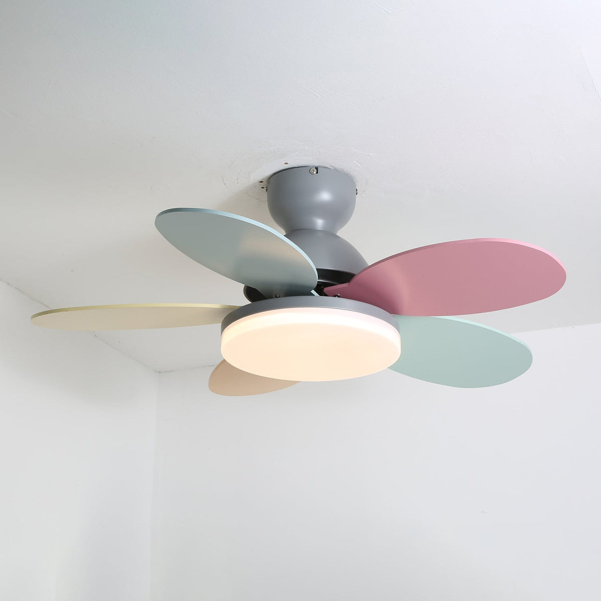 Petalo Petal Blade Ceiling Fan Light
