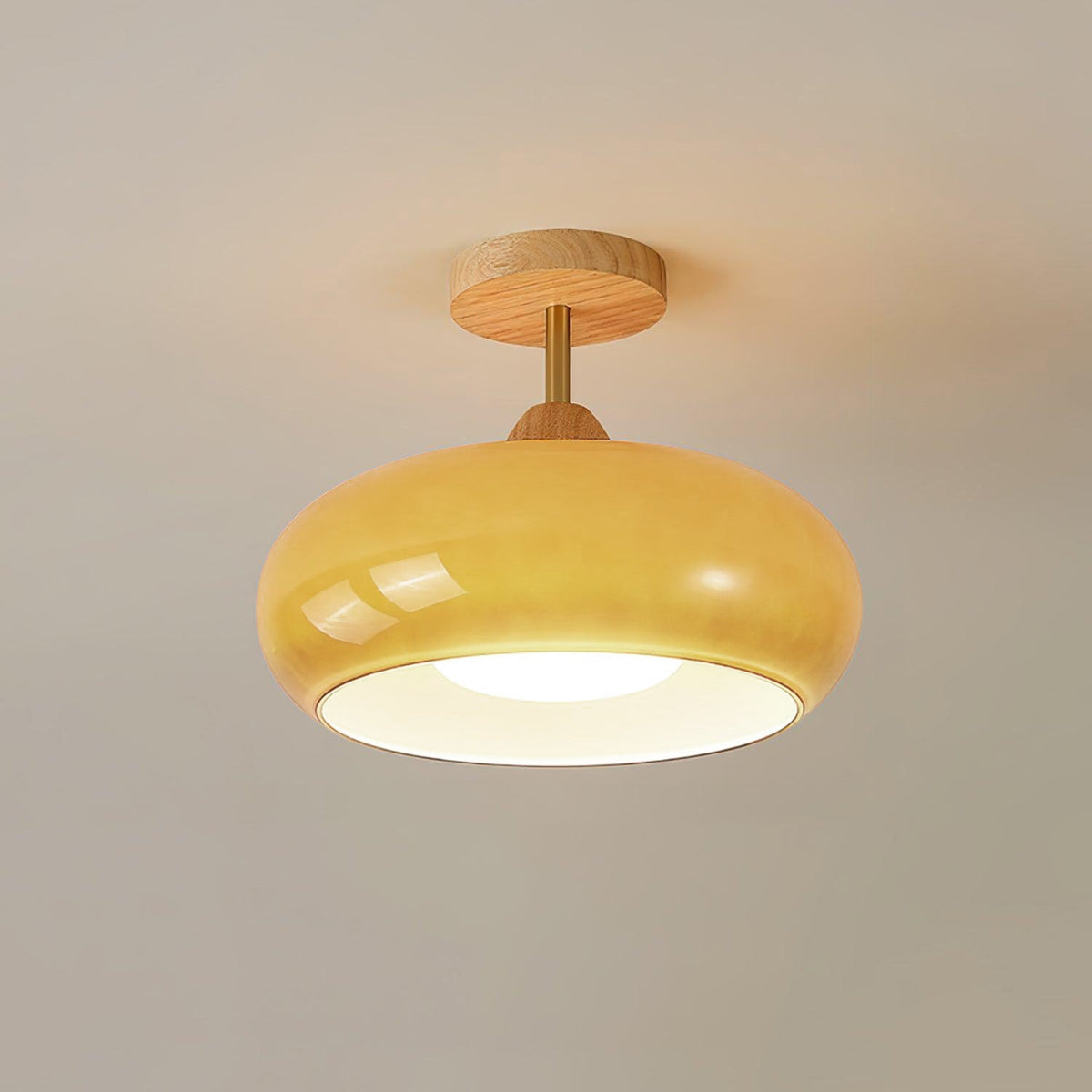 Disca Bauhaus Glass Disc Wood Ceiling Light