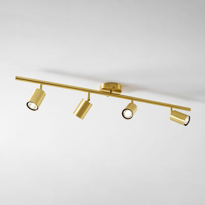 Ziva Adjustable Spotlight Wall Light