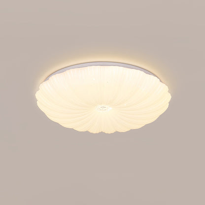 Conque Acrylic Shell LED Ceiling Light product photo