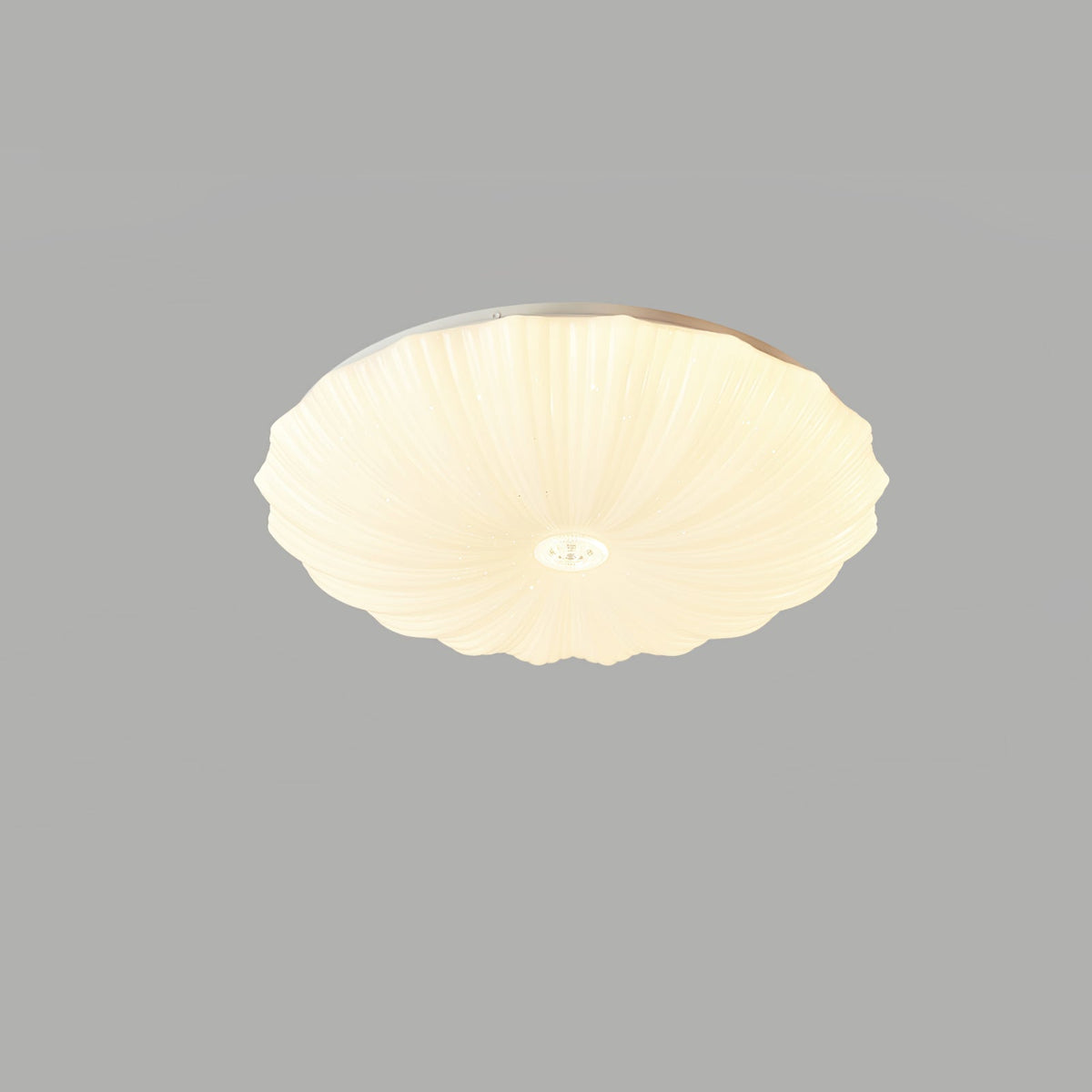 Conque Acrylic Shell LED Ceiling Light product photo